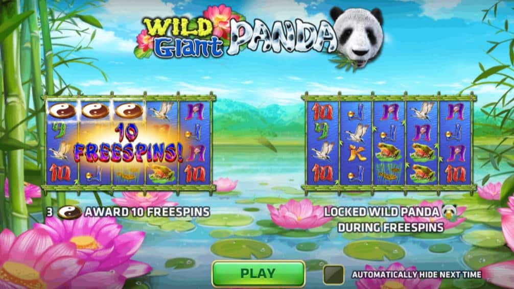 918kiss_Wild_Giant_Panda_เกมออนไลน์